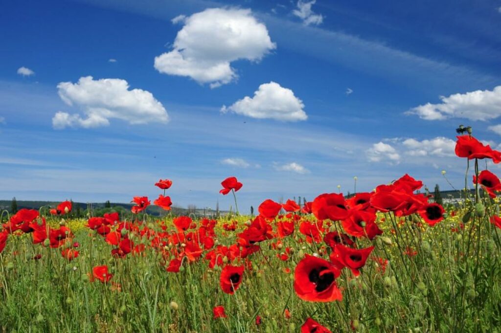 Μίνι καλοκαιράκι: Η θερμοκρασία αγγίζει τους 27 βαθμούς - Media