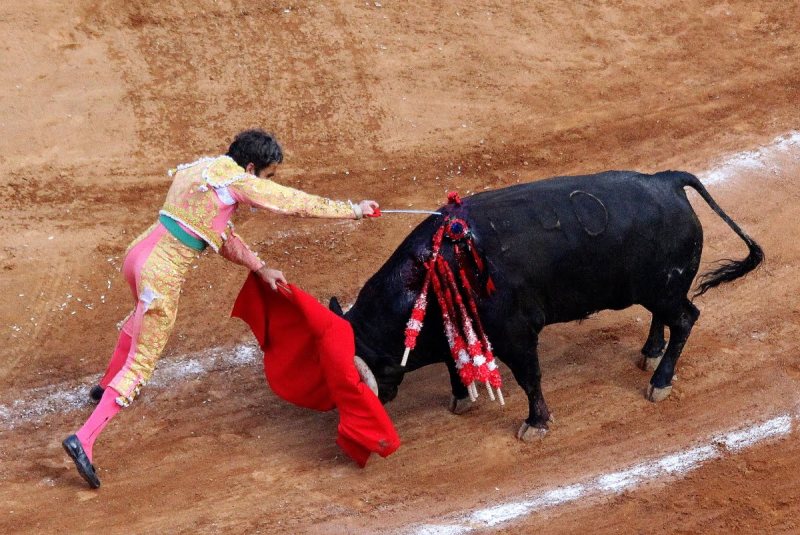 Ταυρομάχος-ταύρος, σημειώσατε 2 - Τρομακτικός τραυματισμός ματαντόρ από τα κέρατα του ταύρου (Photo, Video, σκληρές εικόνες) - Media