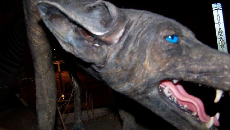 Τρόμος από παράξενο πλάσμα που κατασπαράζει ζώα μες στο σκοτάδι (Video) - Media