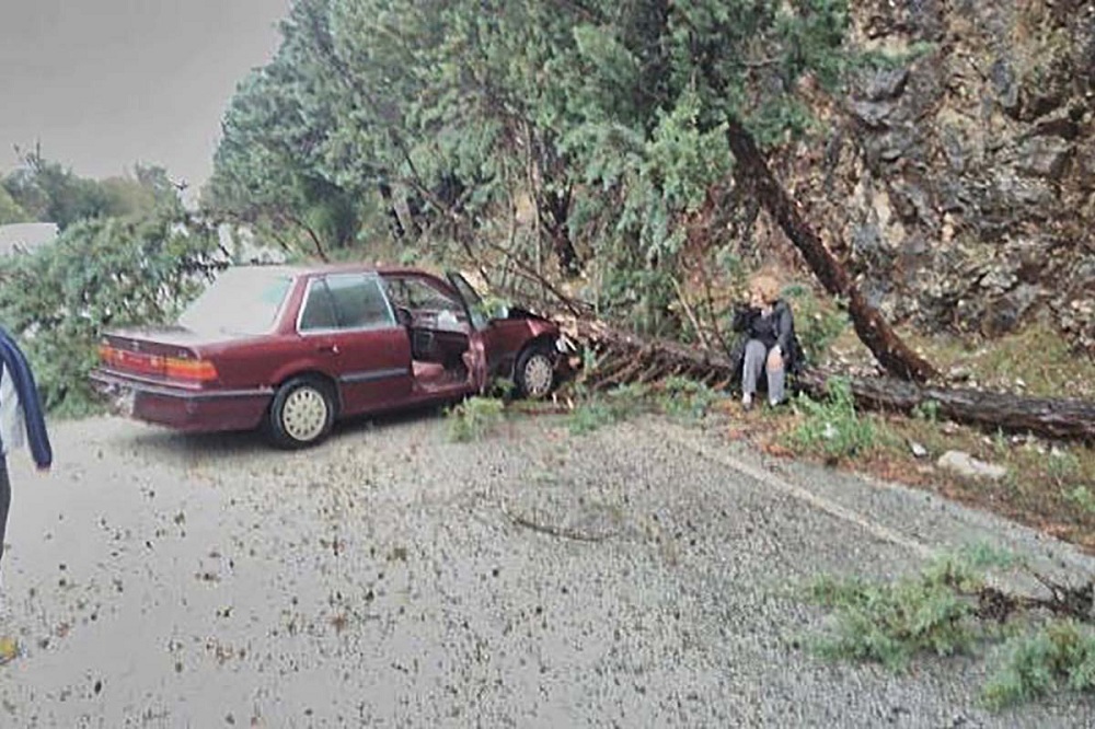Τραγωδία στην Εγνατία Οδό: Τον καταπλάκωσε δέντρο ενώ ήταν μέσα στο αυτοκίνητό του – Πέθανε ακαριαία - Media