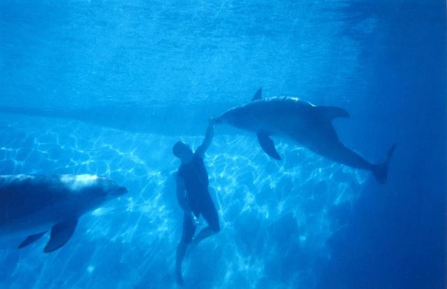 Πασίγνωστες ταινίες που γυρίστηκαν στην Ελλάδα - Media