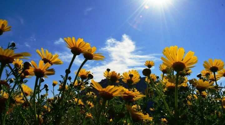 Καιρός: Αίθριος με τοπικές νεφώσεις - Media