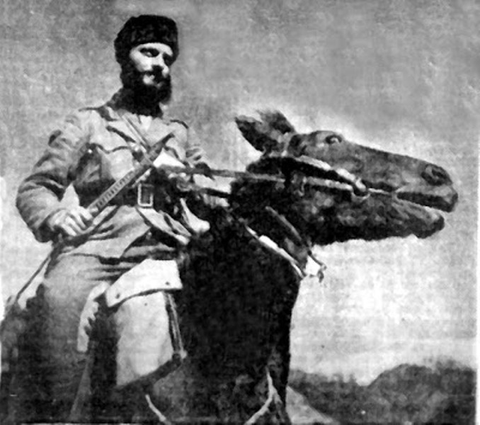 Η ανάρτηση του Κώστα Μπακογιάννη για τον καπετάν Ερμή, που οι δεξιοί «αφόρισαν»: «Κάνουμε εμετό με όσα γράφεις»    - Media