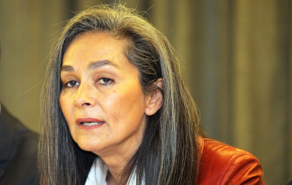 Σ. Σακοράφα: Οι καταδίκες της Τουρκίας στην Ε.Ε είναι μόνο στα λόγια - Media