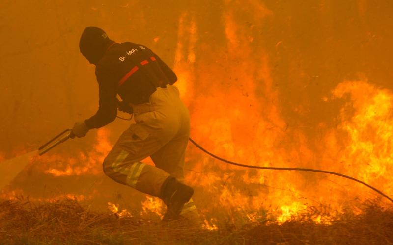 Ένας «δράκος της φωτιάς» στα χέρια της Πυροσβεστικής (Photos) - Media