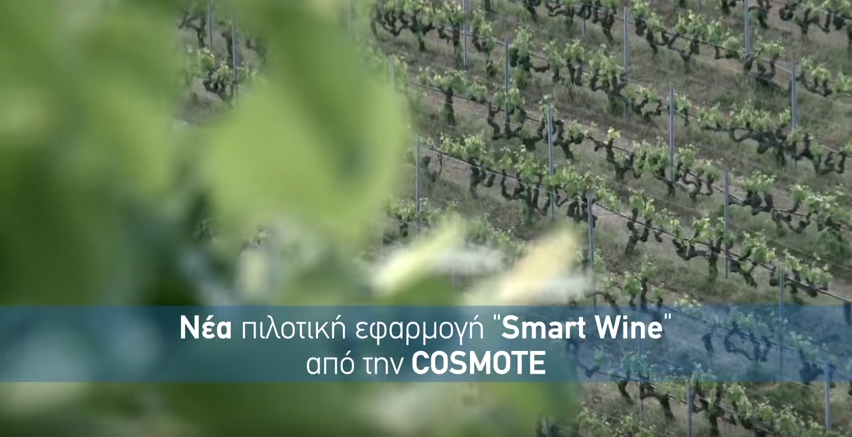 COSMOTE: Τεχνολογία ΝΒ-ΙοΤ για τη διασφάλιση της ποιότητας του κρασιού  - Media