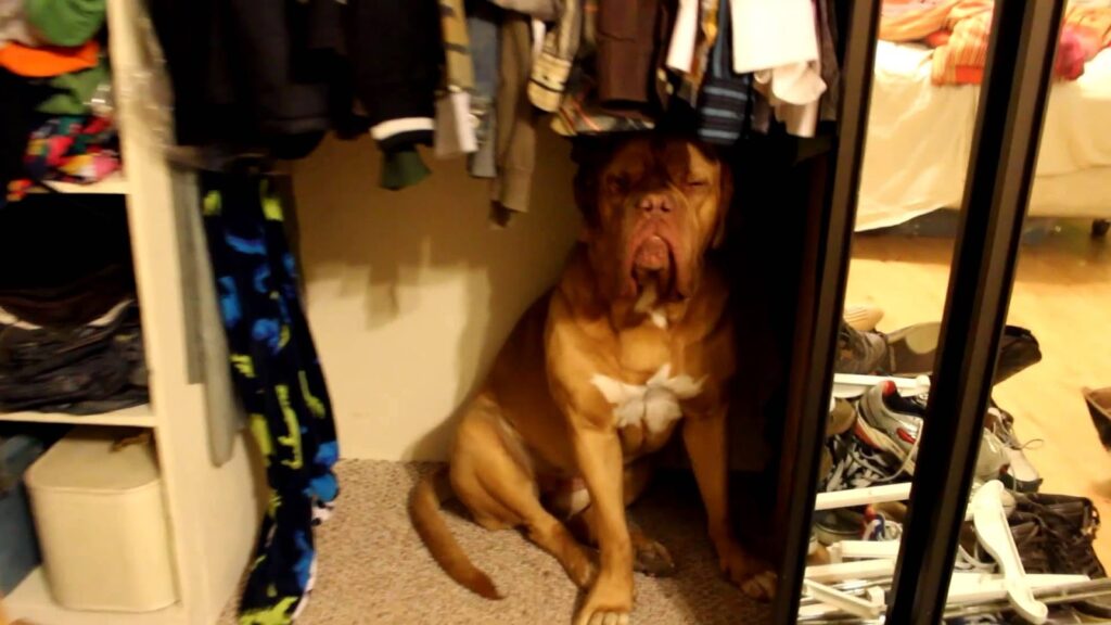 Κρατήστε μακριά τους σκόρους με 4 φυσικούς τρόπους  - Media