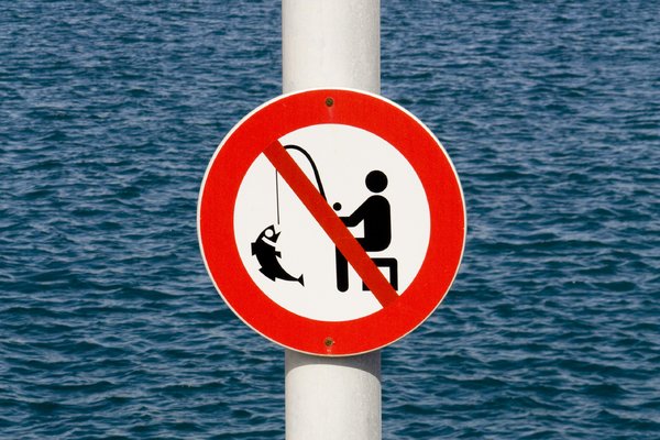 Σε αυτές τις παραλίες της Αττικής απαγορεύεται το ψάρεμα και τα μηχανοκίνητα σκάφη - Media