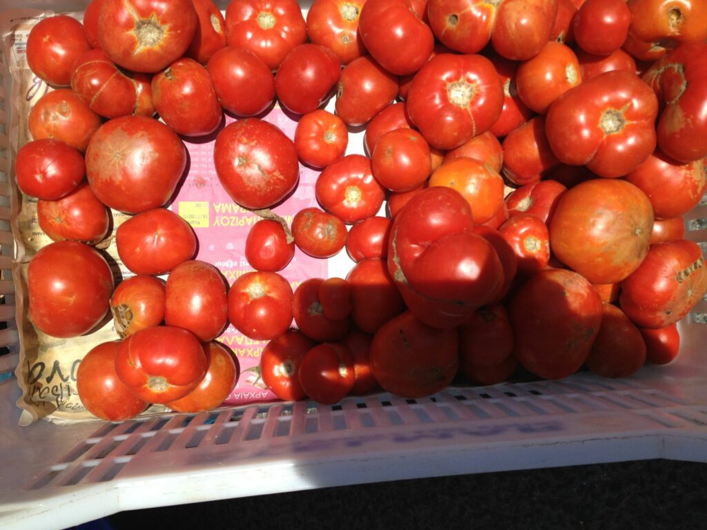 Πειραιάς: Πουλούσαν ντομάτες αγνώστου προελεύσεως – Δεσμεύτηκαν 2 τόνοι - Media