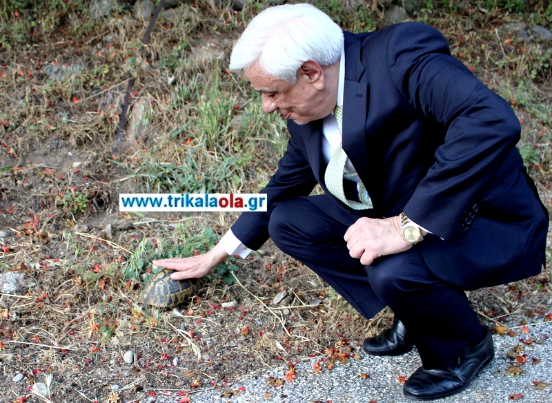 Ο Παυλόπουλος πιο χαλαρός από ποτέ: Τα κορόμηλα, η χελώνα και η βόλτα στην Καλαμπάκα στη βάφτιση των εγγονιών του (Video) - Media