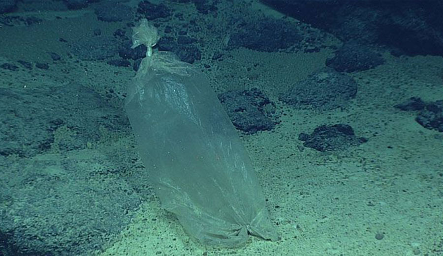 Έγκλημα! Βρέθηκε πλαστική σακούλα στο βαθύτερο σημείο των ωκεανών - Media