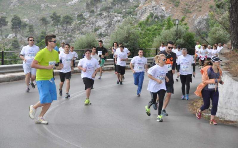 Κυκλοφοριακές ρυθμίσεις για αγώνα δρόμου στην Αττική - Media