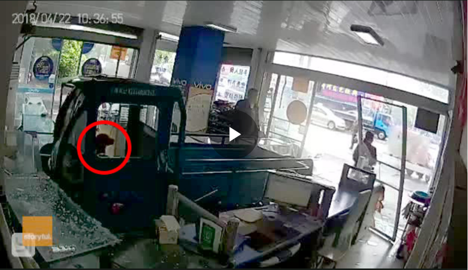 Σκύλος οδηγεί φορτηγάκι και «μπουκάρει» σε κατάστημα κινητής τηλεφωνίας (Video) - Media