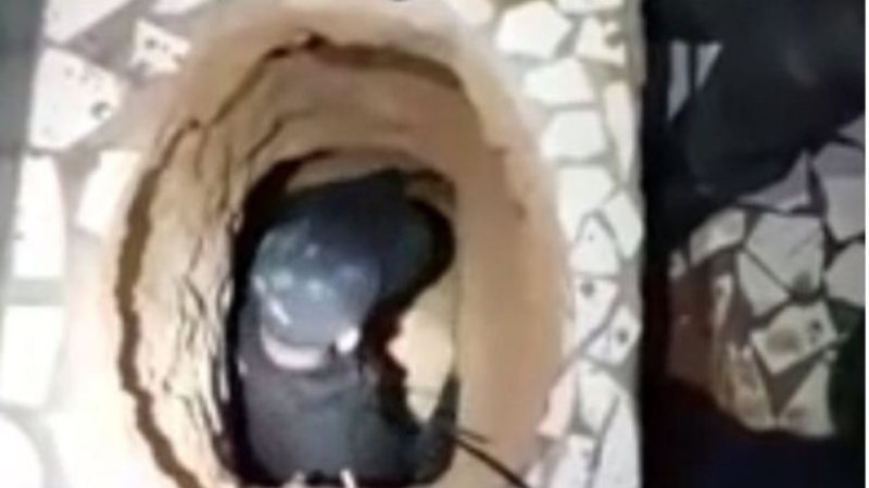 Έσκαψε τούνελ 70 μέτρων για να αποδράσει από τη φυλακή και λίγο πριν βγει, έπαθε ασφυξία και πέθανε (Video) - Media