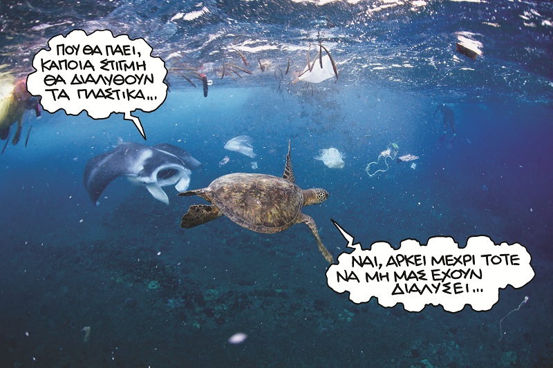 Εξοργιστικό βίντεο: Καβαλάνε μεγάλη θαλάσσια χελώνα και βασανίζουν το ζωντανό που θέλει να πάει στη θάλασσα  - Media