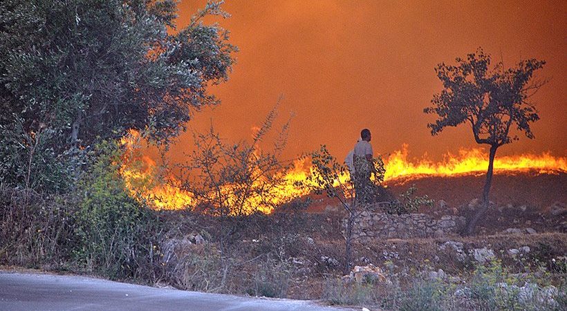 Οριοθετήθηκε η φωτιά στην Σκάλα Κεφαλλονιάς - Media