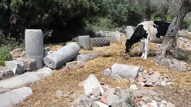 «Στο σφυρί» αρχαία ελληνική πόλη στην Τουρκία! - Media