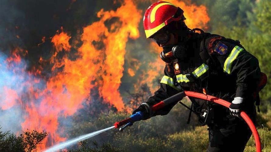 Φωτιά στη Νέα Μάκρη - Δυνατοί άνεμοι στην περιοχή - Media