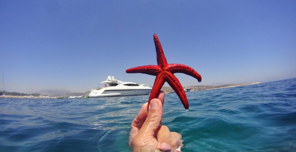 Επίδομα καλοκαιριού: Πότε καταβάλεται - Υπολογίστε on line πόσα χρήματα θα πάρετε - Media