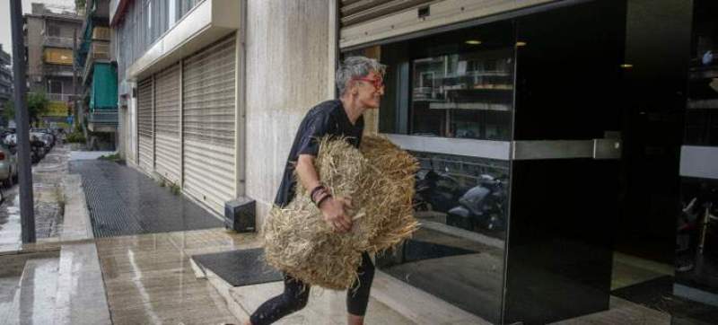 Πέταξαν... σανό στα γραφεία των ΑΝΕΛ (Photos) - Media