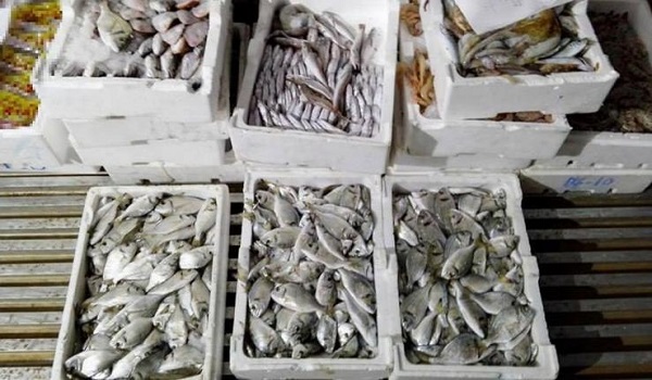 Δεσμεύθηκαν 12 τόνοι ακατάλληλα ψάρια στον Πειραιά - Media