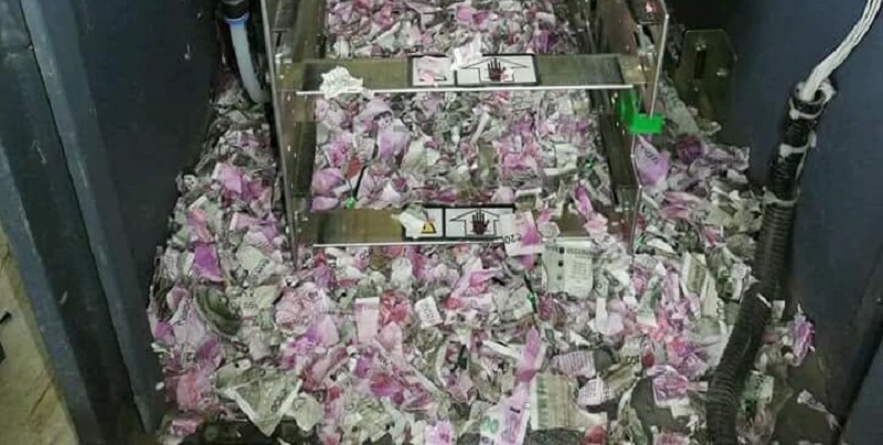 Τα χρήματα έχουν ωραία… γεύση: Αρουραίοι ροκάνισαν 17.600 δολάρια σε ATM (Photos-Video) - Media