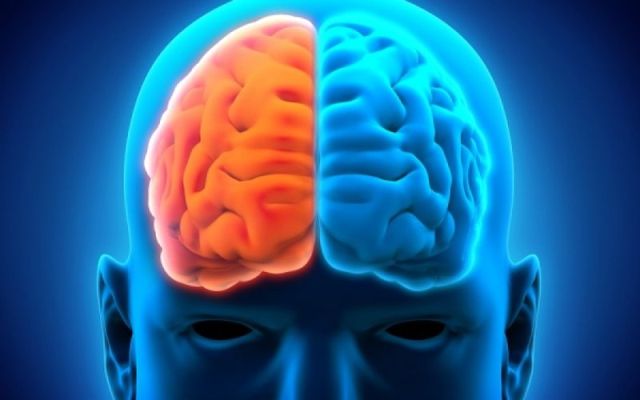 Ποιο ημισφαίριο του εγκεφάλου σας χρησιμοποιείτε περισσότερο; Κάντε το τεστ!  - Media