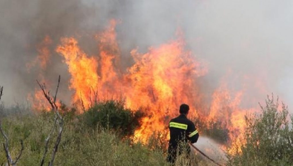 Κινδύνευσαν σπίτια από τη μεγάλη φωτιά στα Χανιά  - Media