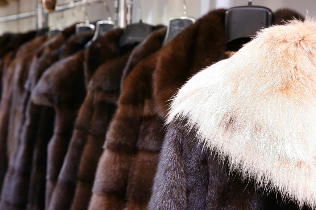 Στη «φάκα»της ΕΛΑΣ οι ληστές που «ξάφρισαν» γουναρικά αξίας 1.870.000 ευρώ - Media