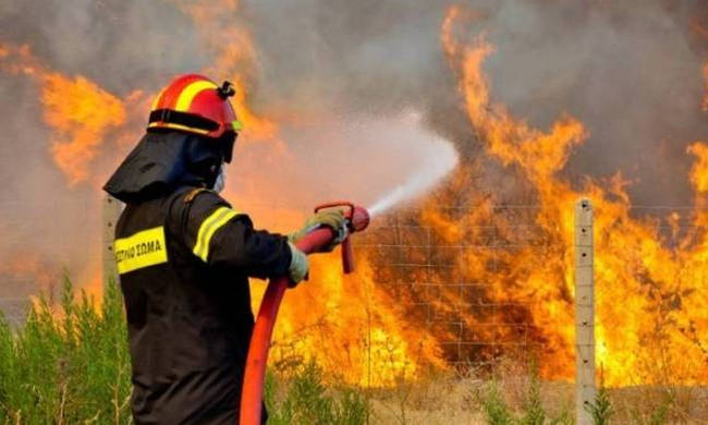 Μεγάλη φωτιά στη Φαράκλα Ευβοίας - Στις φλόγες και η Αργολίδα - Media