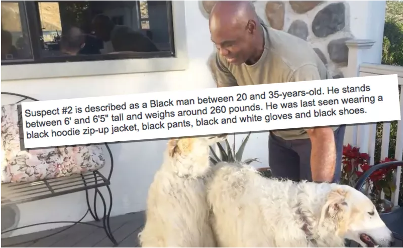 Έβγαλε βόλτα τα σκυλιά του και βρέθηκε κατηγορούμενος για ληστεία επειδή είναι μαύρος (Photos) - Media