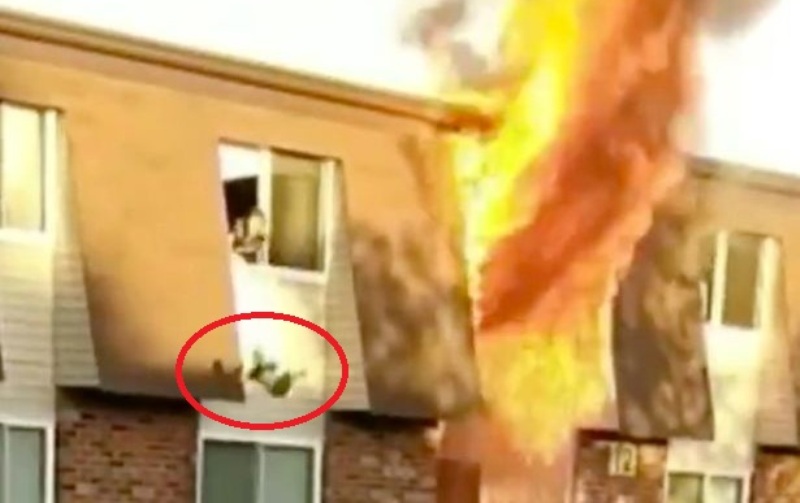 Τρομοκρατημένη μητέρα ρίχνει το παιδί της από το παράθυρο του φλεγόμενου σπιτιού της (Video) - Media