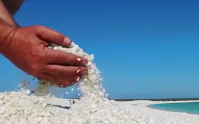 Μια κατάλευκη παραλία γεμάτη…κοχύλια: Δείτε πού βρίσκεται! (Video) - Media