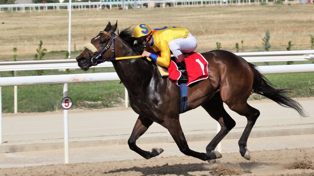 Οκτώ ιπποδρομίες σήμερα στον Ιππόδρομο Αθηνών - Στο Μαρκόπουλο εκπρόσωποι του οίκου δημοπρασιών Tattersalls - Media