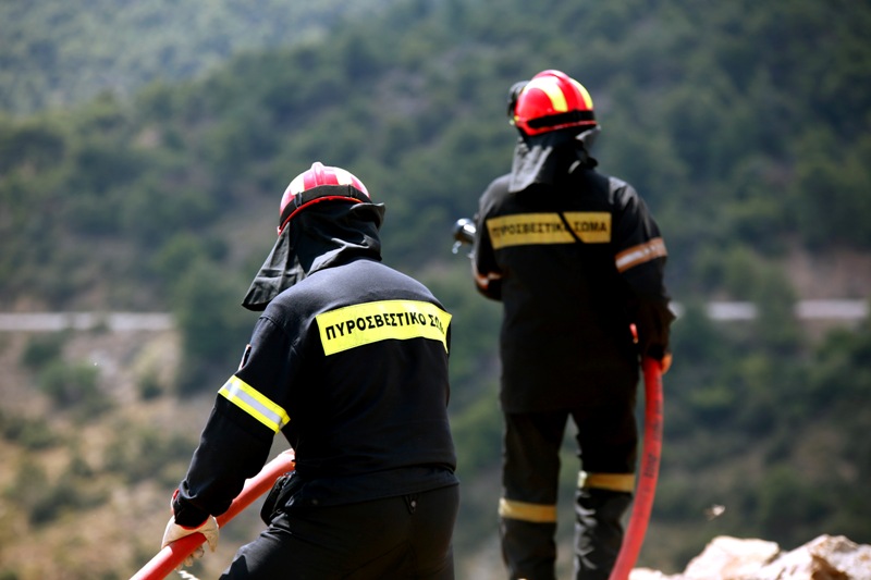 Για τρίτη συνεχόμενη φορά πυρκαγιά σε δασική έκταση στην Ασωπία Βοιωτίας - Media