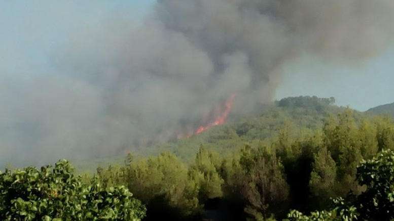 Yπό μερικό έλεγχο η πυρκαγιά στα Πολιτικά Εύβοιας - Media