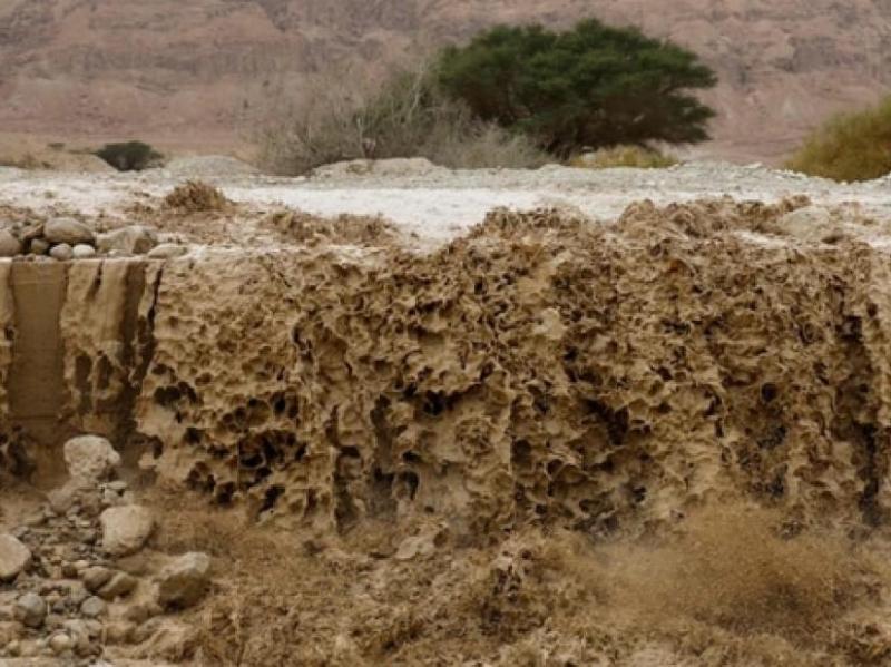 Θεσσαλονίκη: Δραματική διάσωση 21χρονου από χείμαρρο - «Μη φοβάσαι σε βλέπουμε!» (Video)  - Media