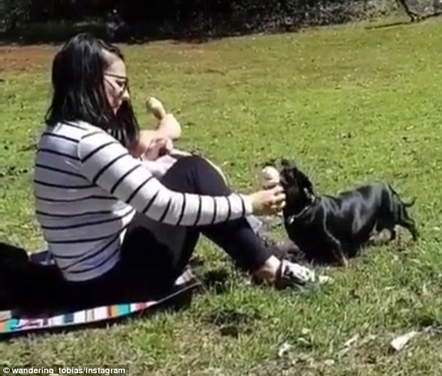 Δίχασε το internet: Γυναίκα μοιράζεται το παγωτό με τον σκύλο της (Video) - Media