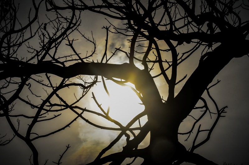 Το συγκλονιστικό μήνυμα μιας 7χρονης για την καταστροφή (Photo) - Media