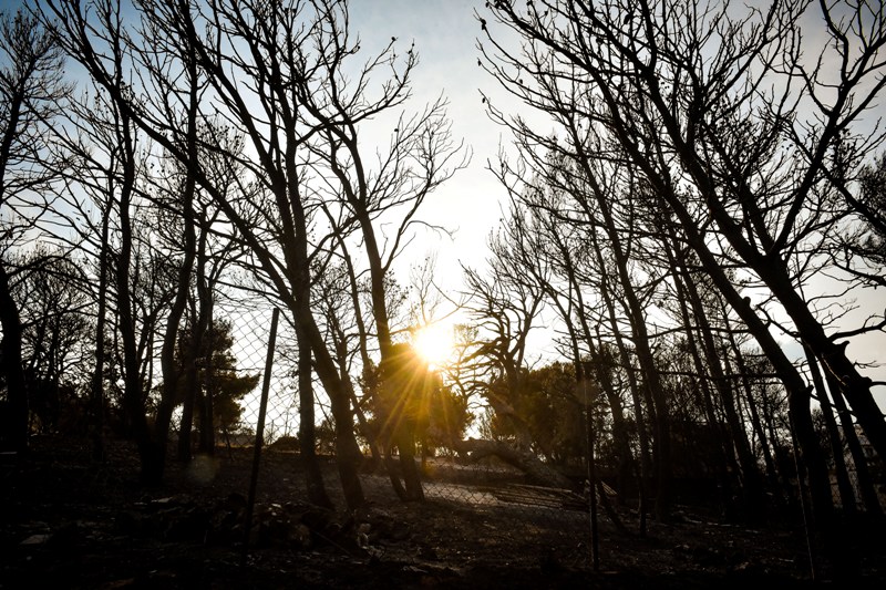 Σοκάρουν τα στοιχεία του ΤΕΕ: Ένα στα δύο αυθαίρετα δεν έχει οικοδομική άδεια! - Media