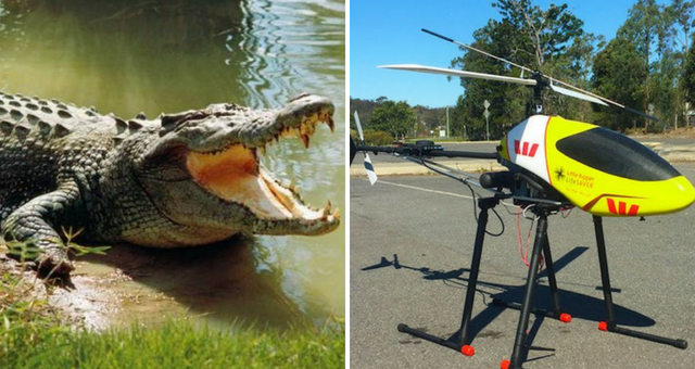 Οι σύγχρονοι «Κροκοδειλάκιδες» στην Αυστραλία επιστρατεύουν τα drones - Media