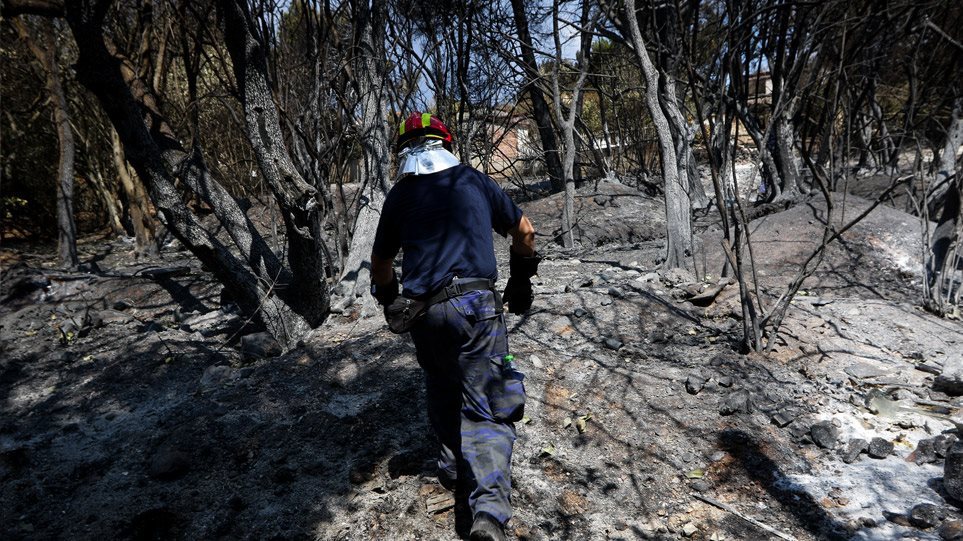 Καταγγελίες εθελοντών δασοπυροσβεστών στο Μάτι: Σώζαμε ζωές και άφησαν νηστικούς (Video) - Media
