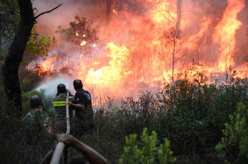 Σε πλήρη εξέλιξη εξακολουθούν να βρίσκονται οι πυρκαγιές σε Καλλιτεχνούπολη και Κινέτα  - Media