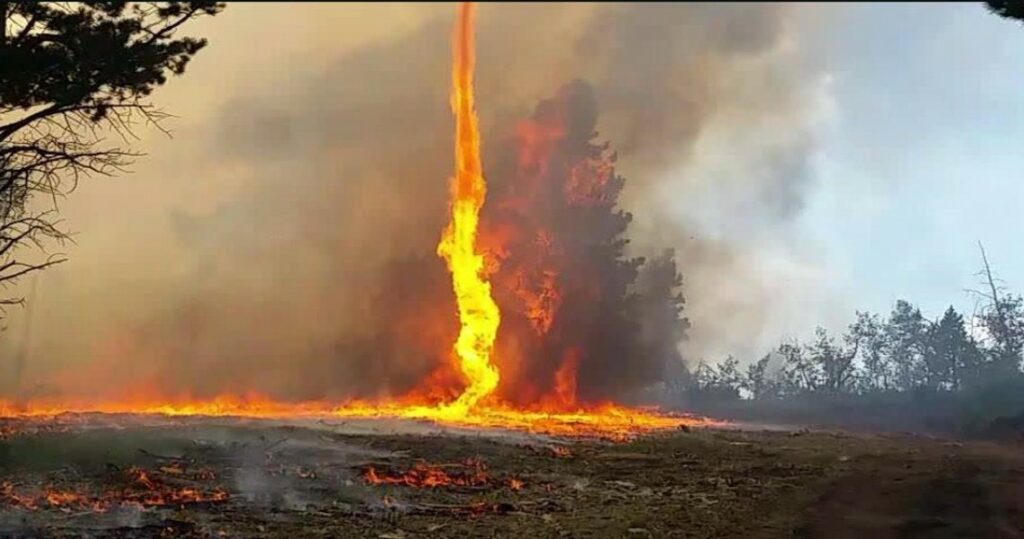 Ενημέρωση για τις πυρκαγιές από Καπάκη σε Μητσοτάκη, Γεννηματά - Media