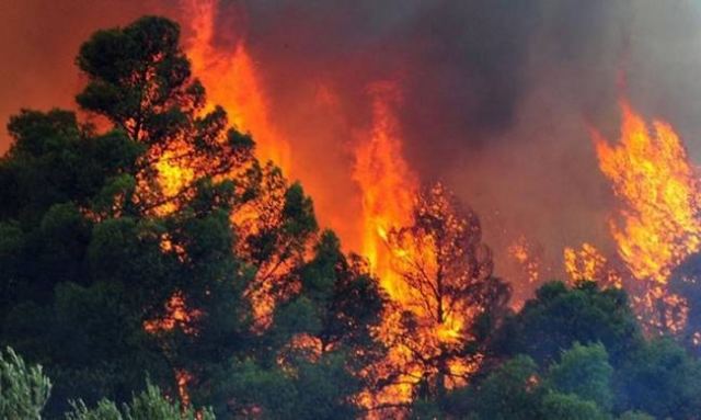 Υπό μερικό έλεγχο η πυρκαγιά στον Άγιο Στέφανο Αττικής - Media