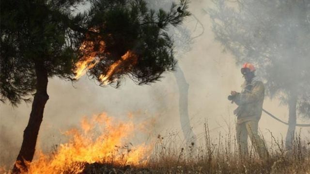 Πυρκαγιά στην Αμαλιάδα: Εκκενώνεται χωριό - Media