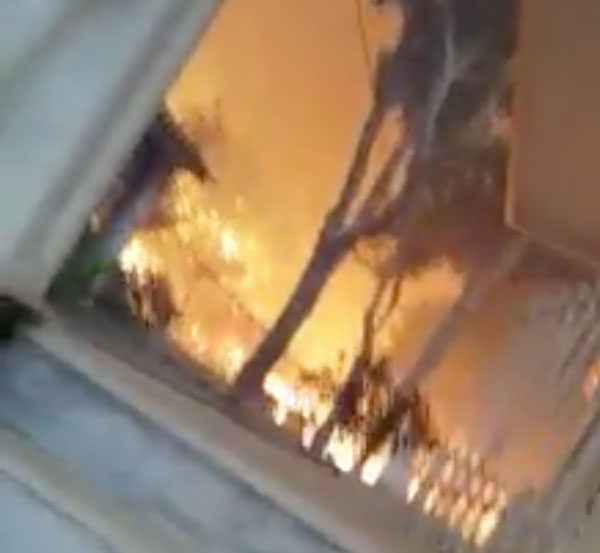 Μάτι: Το πιο σοκαριστικό βίντεο – Καταγράφει την φωτιά την ώρα που πλησιάζει το σπίτι του - Media