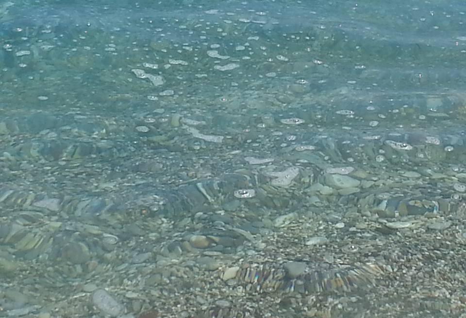 Τι είναι η «λαδίλα» στην επιφάνεια της θάλασσας - Μύθος η συσχέτιση αχινών-καθαρού νερού - Media