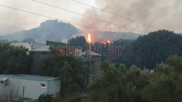 Χανιά: Κόλαση πυρκαγιάς στον Κακόπετρο - Εκκενώθηκε οικισμός   - Media