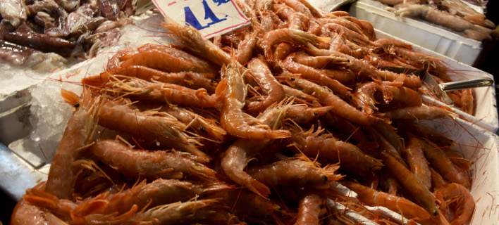 «Σαφάρι» ελέγχων στον Πειραιά: Κατασχέθηκαν 185 κιλά ακατάλληλες γαρίδες σε επιχείρηση - Media